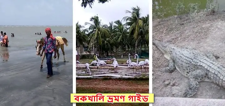 বকখালি ভ্রমণ গাইড | সমস্ত টুরিস্ট স্পট ও সমুদ্র  সৈকত এর  তথ্য