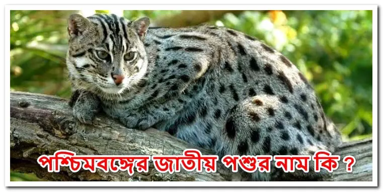 পশ্চিমবঙ্গের জাতীয় পশুর নাম কি ?