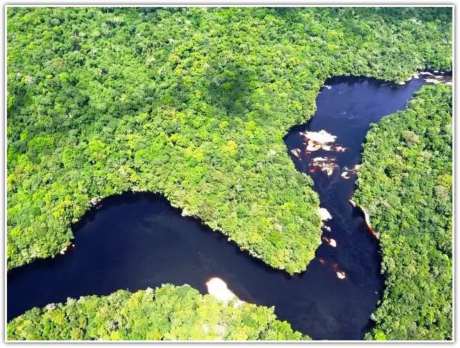 Aerial Shot of Amazon river