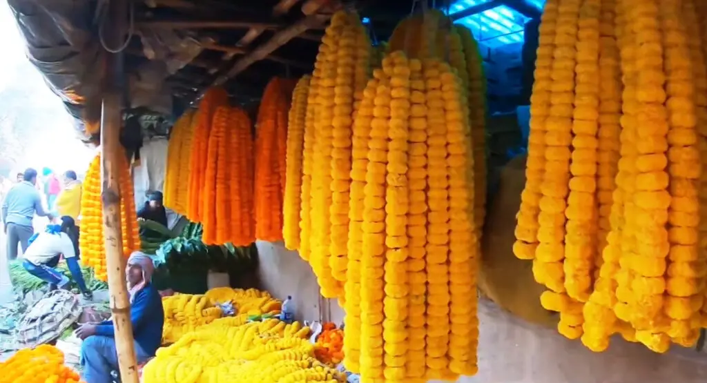 Mallick Ghat flower market Kolkata