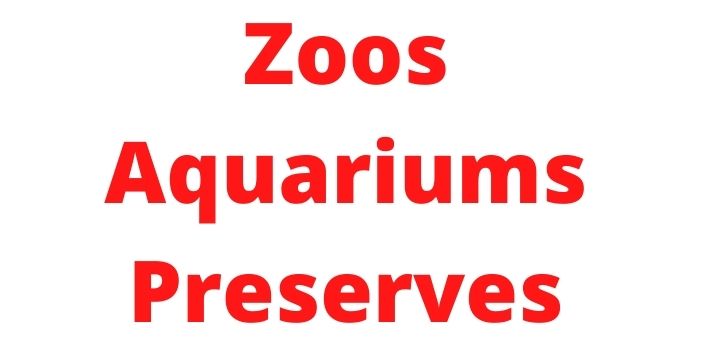 Zoos Aquariums Preserves
