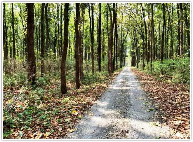 Buxa Tiger Reserve at Dooars