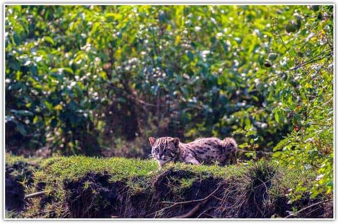 Coringa Wildlife Sanctuary