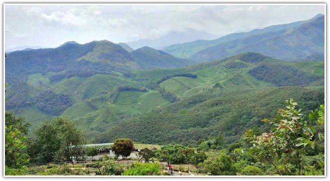 Eravikulam National Park