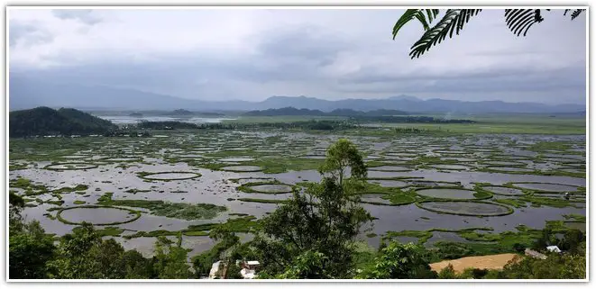 Loktak Lake in Keibul Lamjao National Park