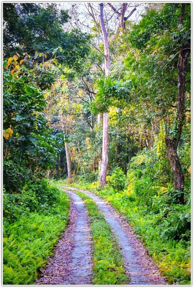 Orang National Park