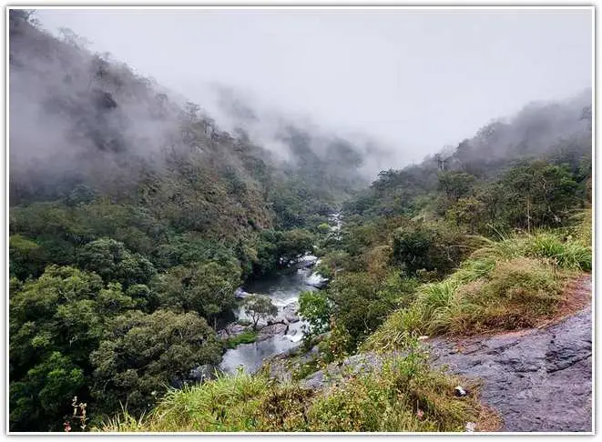 Sanjay Gandhi National Park forest view from hill top