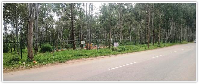 Turahalli Forest