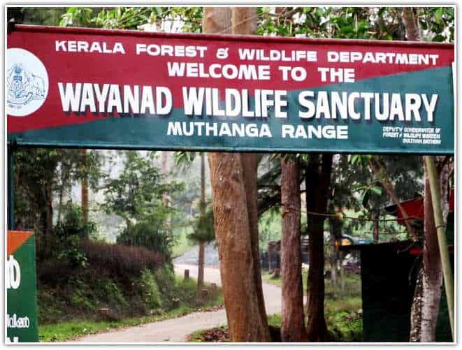 Wayanad Wildlife Sanctuary In Muthanga Forest Wayanad Kerala