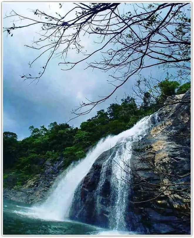 at Dudhsagar Waterfalls in Mollem Forest Goa