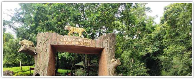 Parambikulam Tiger Reserve