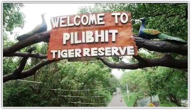 Pilibhit Tiger Reserve entrance