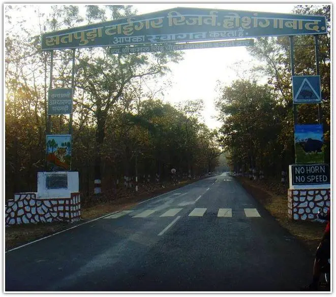Satpura tiger reserve entering in Madhya Pradesh