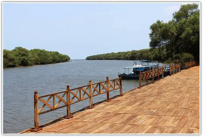 Sea-mouth of river tulyabhaga in Coringa Wildlife Sanctuary