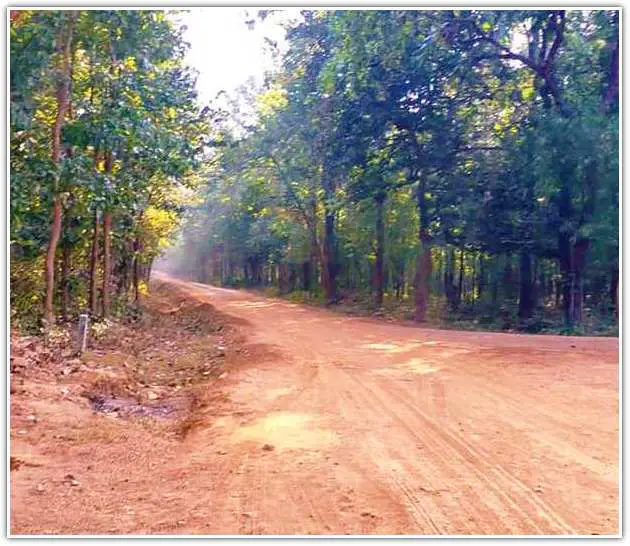 Simlipal national park forest