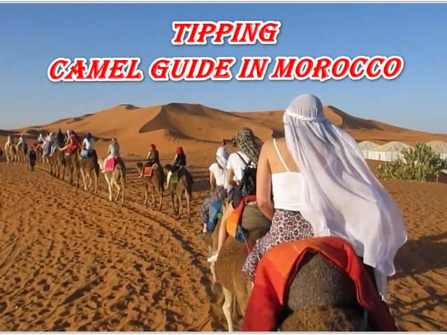 Tipping Camel guide in Morocco