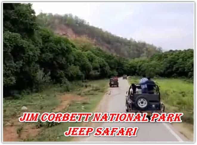 Jim Corbett national park jeep Safari