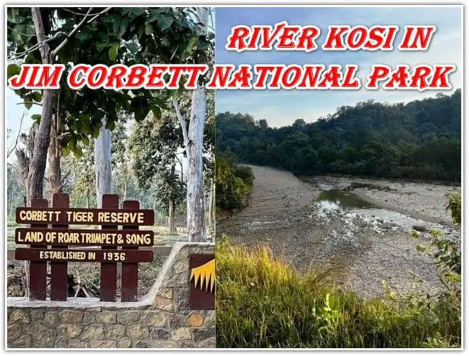 River Kosi in Jim Corbett National Park
