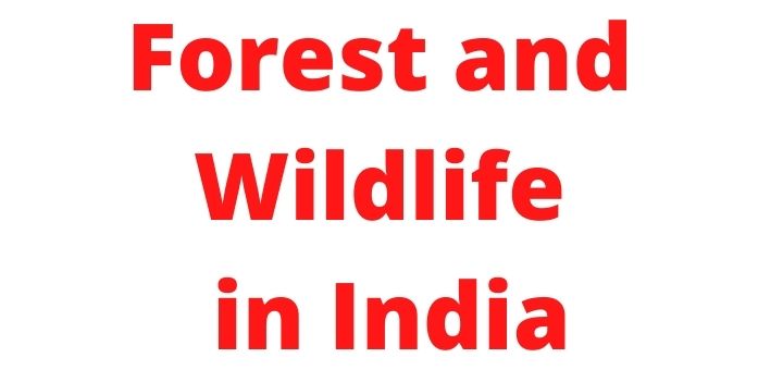 Forest and Wildlife in India