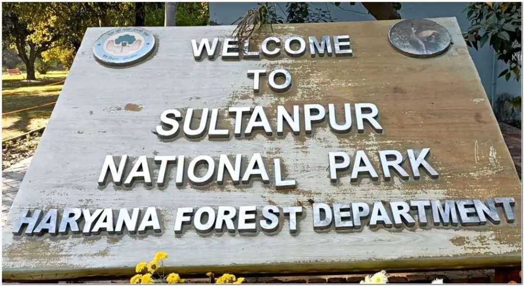 SULTANPUR NATIONAL PARK GURGAON HARYANA