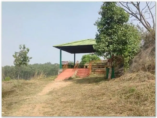 Turahalli forest tree park and forest watchtower