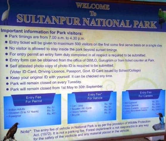 Sultanpur national park timings tips