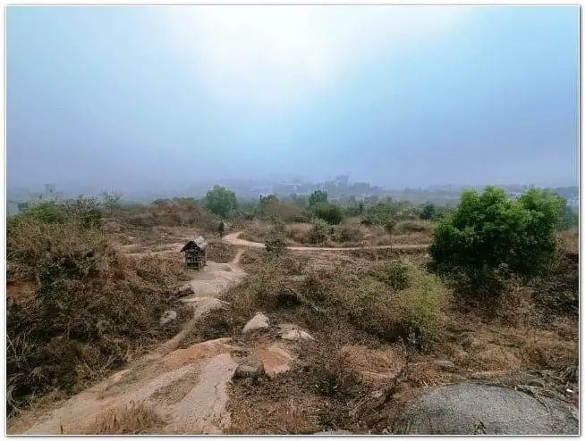 view from Watch tower at Turahalli Forest