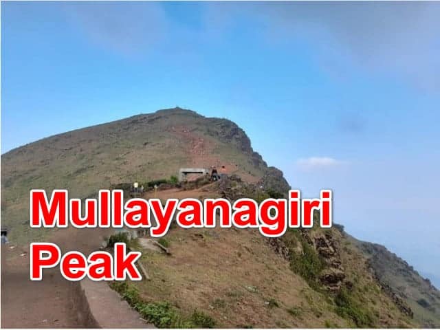 Mullayanagiri Peak is the highest peak of Karnataka