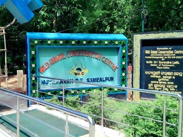Deer Park Sambalpur