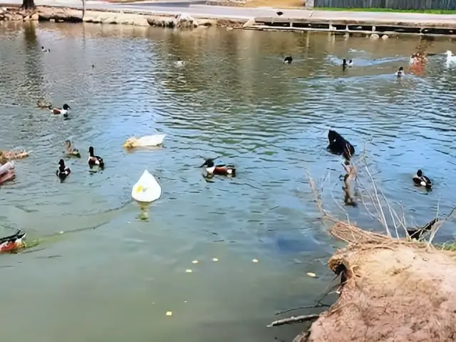 Heritage Duck Pond Park San Antonio