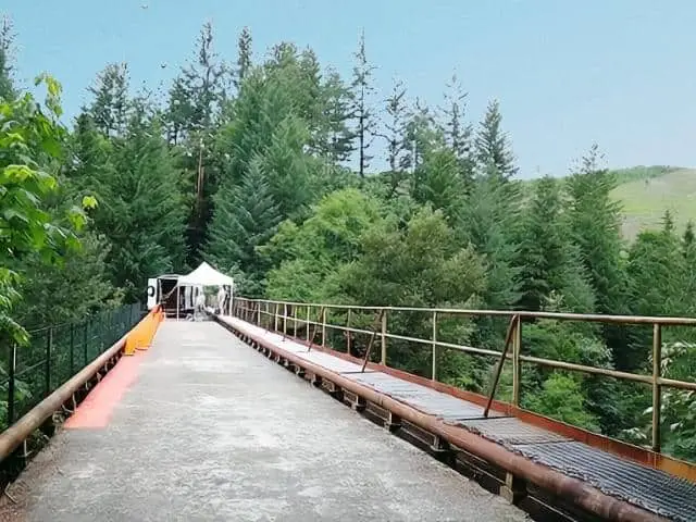Pacific Northwest Bridge
