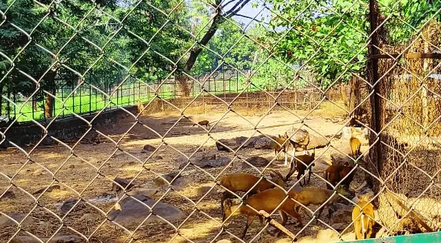 Taptapani Hot Spring Deer Park Odisha