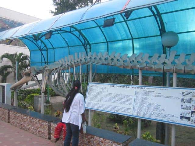 Digha Science Center