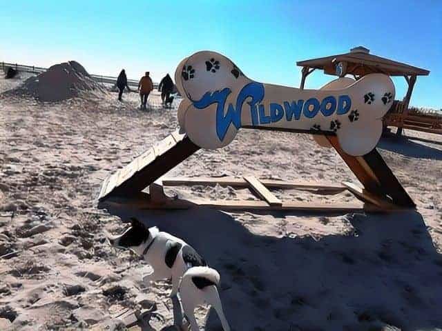 Wildwood Dog Park & Beach in New Jersey