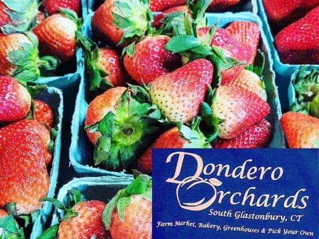 Dondero Orchards CT