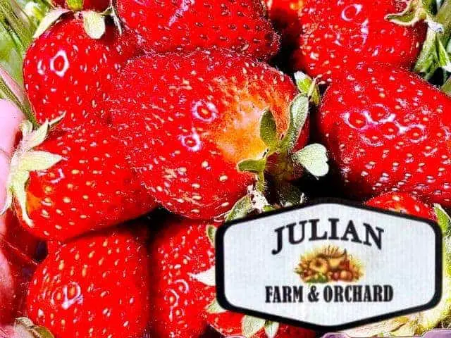 Julian Farm and Orchard