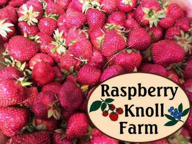 Raspberry Knoll Farm