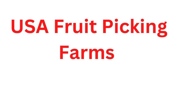 USA Fruit Picking Farms