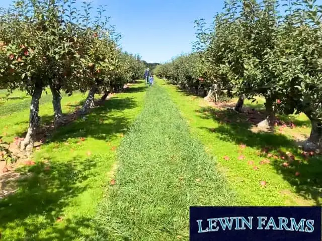 Lewin Farms Calverton