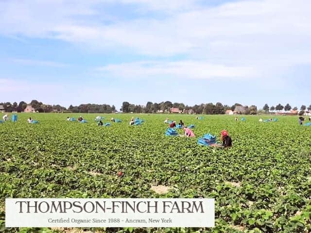 Thompson Finch Farm LLC Ancram