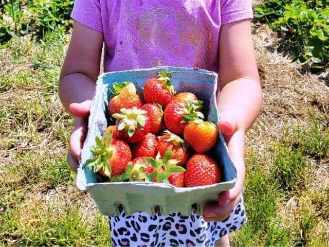 Golden Earthworm Organic Farm - Riverhead, NY