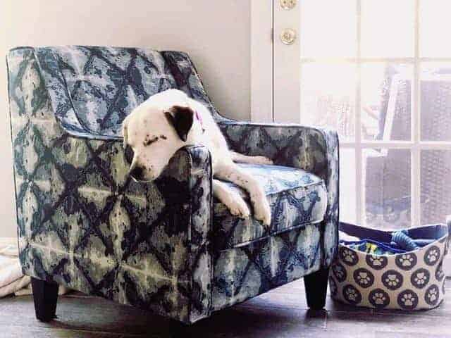 Playscape Accent Chair at Bob’s Discount Furniture and Mattress Store