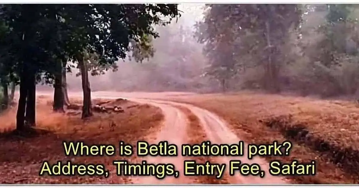 Betla national park Address Timings Entry Fee