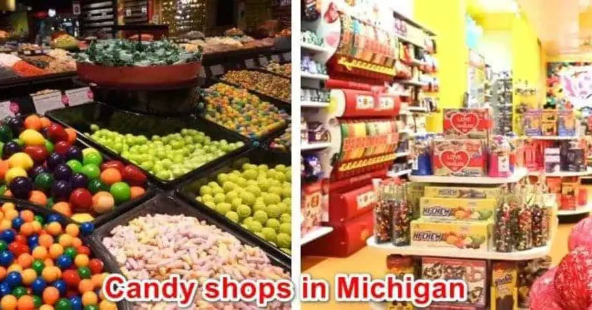 Candy Shops In Michigan