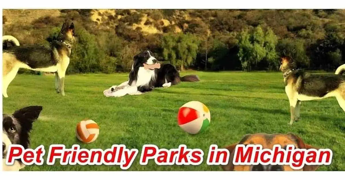 Dog friendly Parks in Michigan