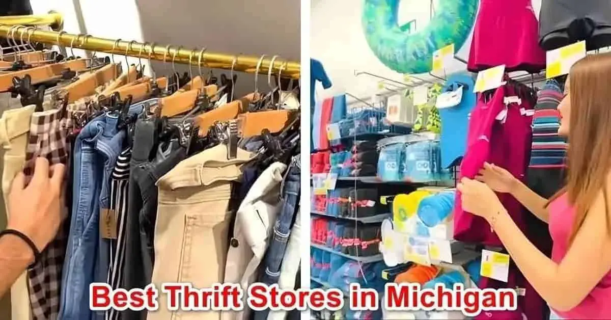 Thrift Stores In Michigan
