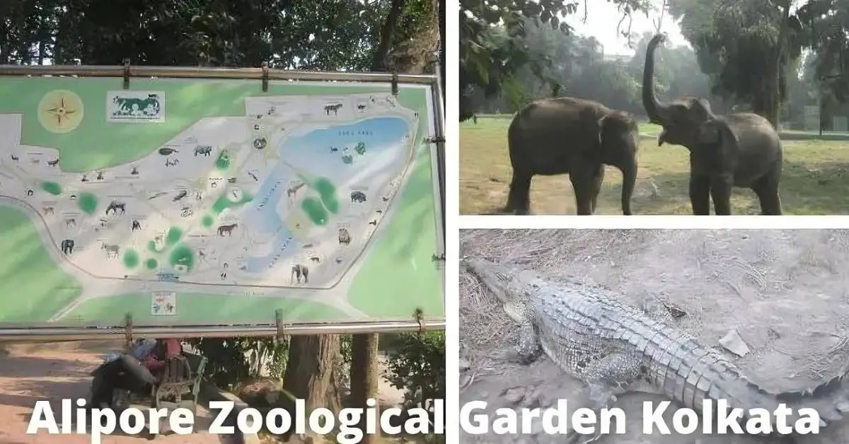 Alipore zoological garden Kolkata