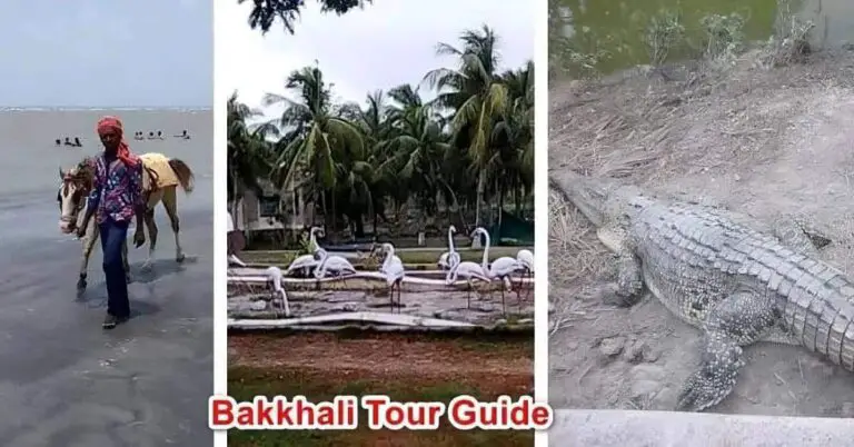 Bakkhali Tour Plan from Kolkata | 12 Tourist spots guide