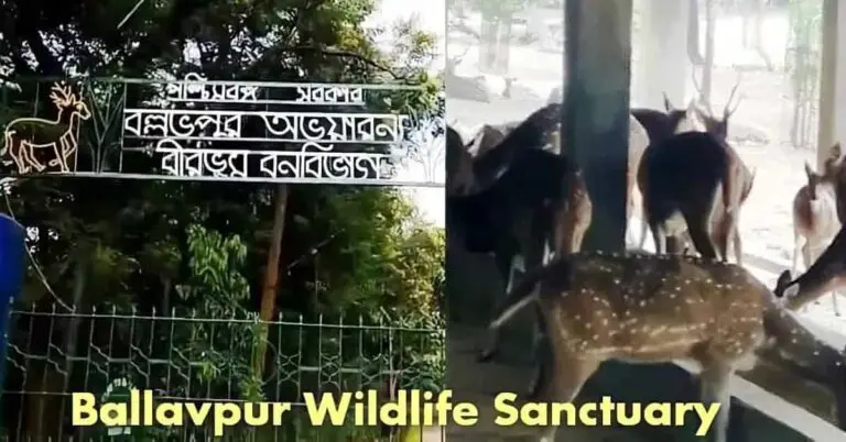 Ballavpur Wildlife Sanctuary | Deer Park Bolpur West Bengal