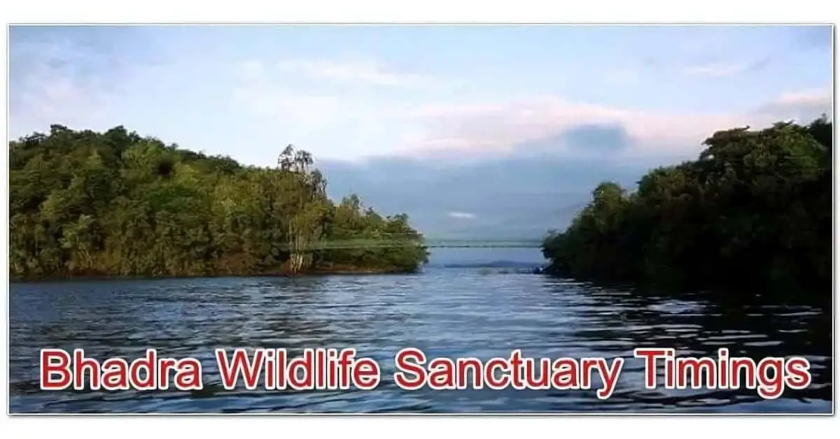Bhadra Wildlife Sanctuary Timings, Entry Fee, Safari